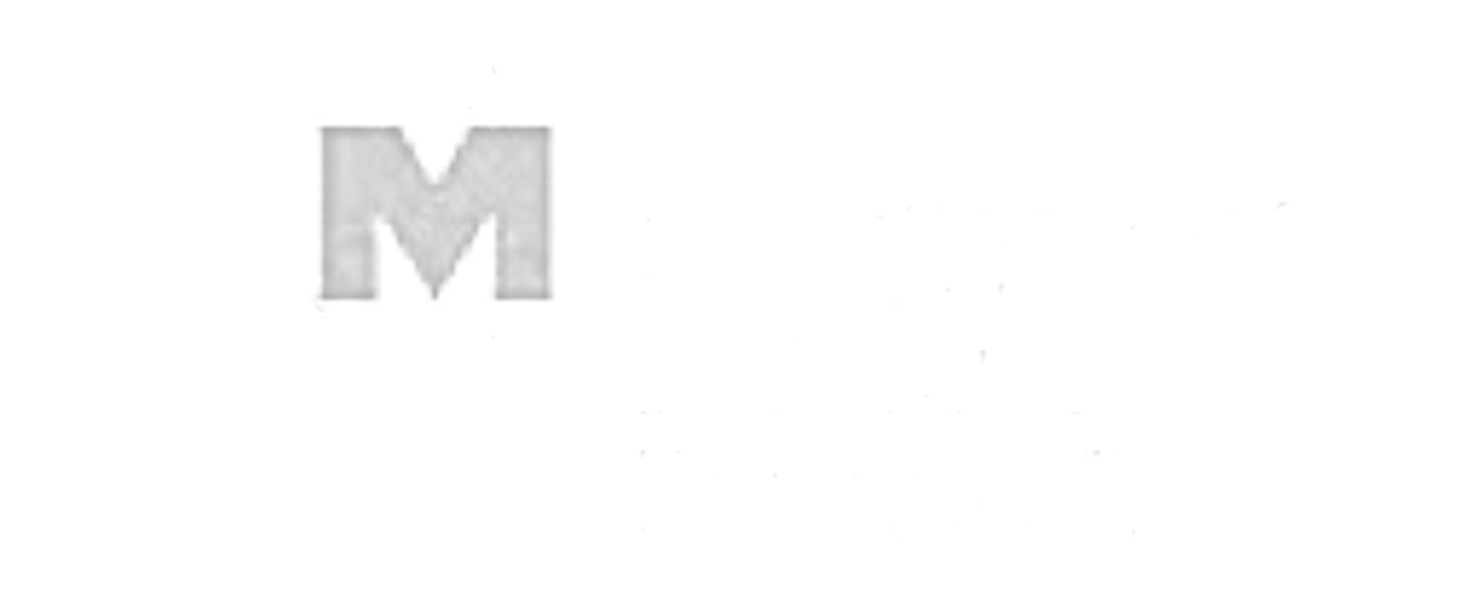 Logo 1 1